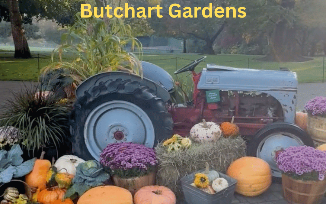 Hands-On Locksmith Training at Butchart Gardens