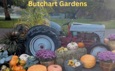 Hands-On Locksmith Training at Butchart Gardens